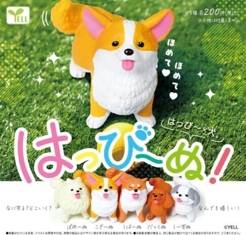 Gacha-gacha "Happi-nu" !