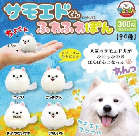 ガチャガチャ「サモエドくん ふわふわぽん」