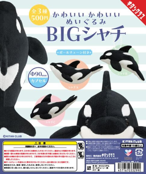 ガチャガチャ「かわいい かわいい ぬいぐるみ BIG シャチ」