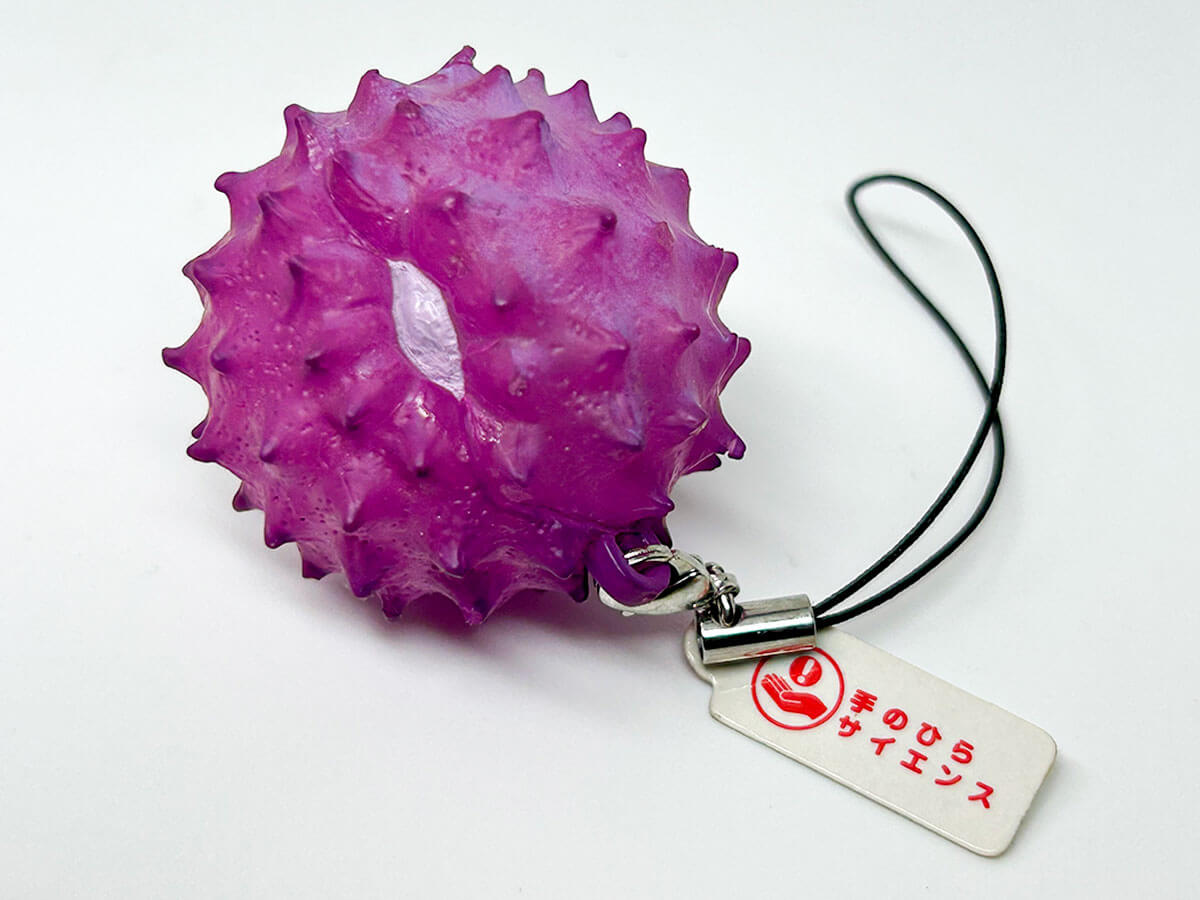 역시 키탄클럽과 퀄리아는 대단하다! 일본 최고의 캡슐토이 컬렉터 와키가이야마 씨의 보물 6선!