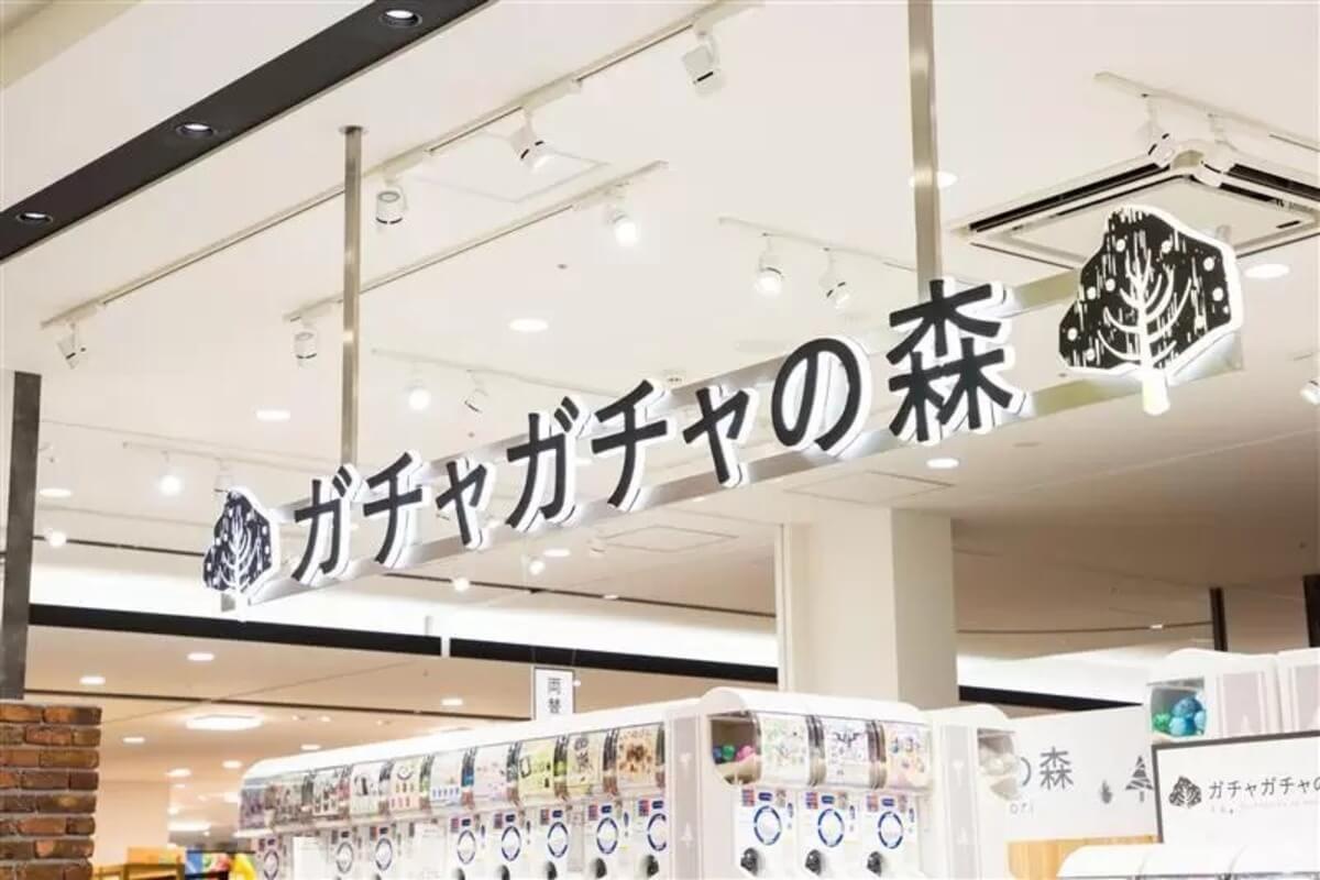 Gacha Gacha 'Forest of Gacha Gacha'。