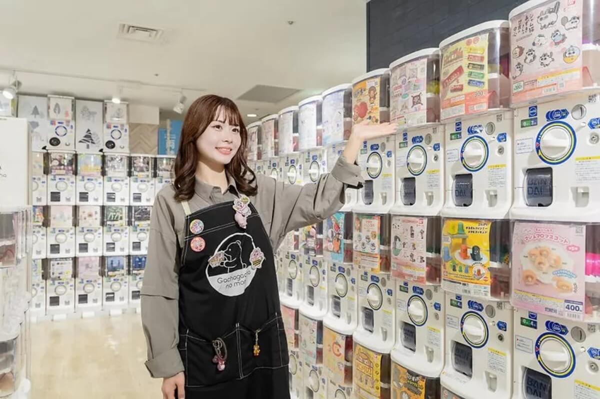 Gacha Gacha 'Forest of Gacha Gacha'。