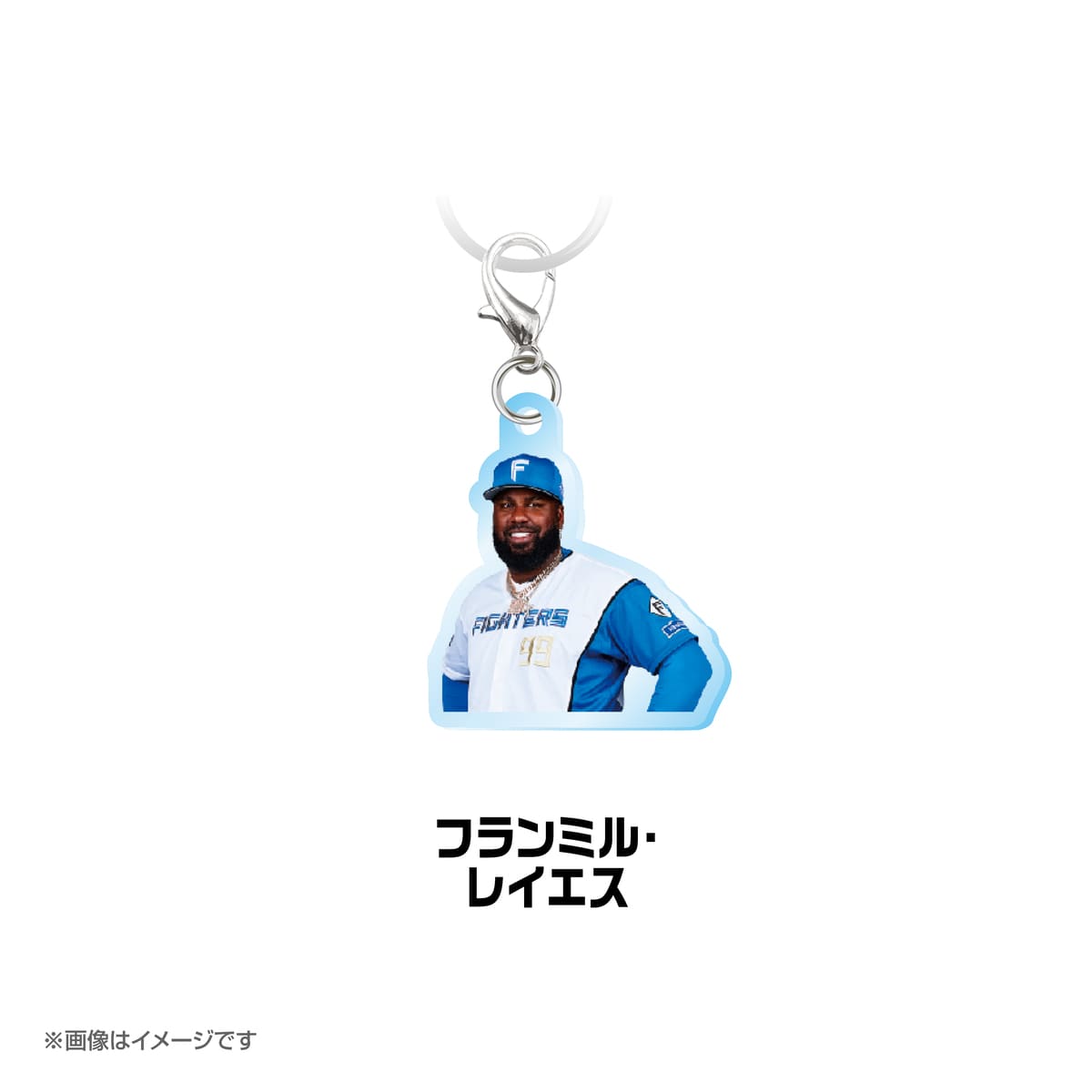 北海道日本ハムファイターズ　めじるしチャーム　選手ver.