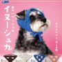 ガチャガチャ「犬のバブーシュカ イヌーシュカ」