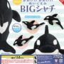 ガチャガチャ「かわいい かわいい ぬいぐるみ BIG シャチ」