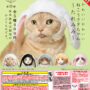 ガチャガチャ「かわいい かわいい ねこうさぎちゃん たれみみ」